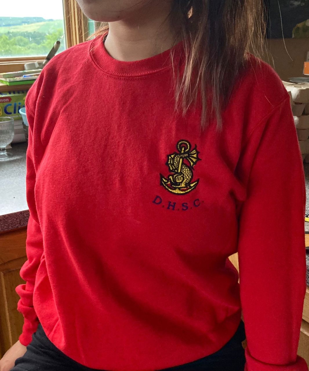 dhsc sweatshirt 2022